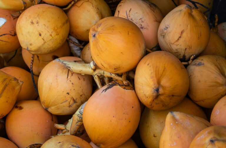 King Coconut